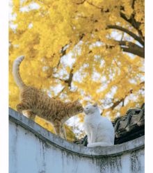 -Oasis Beauty水磨坊科技美肤中心