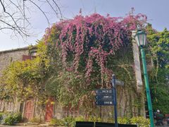 -赤坎·广东华侨国际旅游度假区