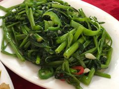 -蛇口康乐快餐鱼仔档(翠苑小区店)