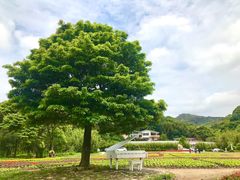 -广州市石门国家森林公园