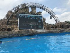 -美的鹭湖探索王国