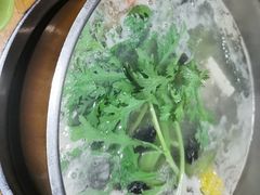 -真牛坊潮汕牛肉火锅