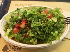 -油梨树 AVOCADO TREE(亮马桥店)