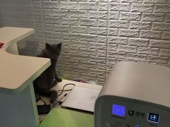 -iF摄影•全家福•证件照•形象照(南山店)