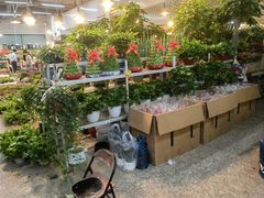 -双季花艺园艺市场(浦东店)