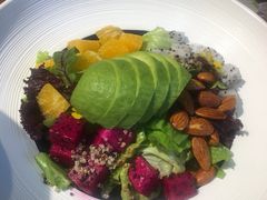 藜麦牛油果沙拉-必点海鲜·鲅鱼水饺(鞍山西道店)
