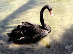 -海南热带野生动植物园