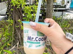 -圣淘沙天际线斜坡滑车