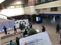 -上海市东方医院(总院)