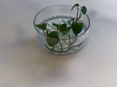 -1918中餐厅(衡山路店)