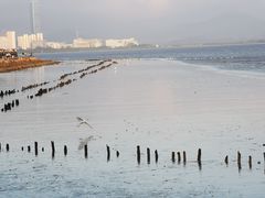 -深圳湾公园(南山区)