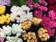 -双季花艺园艺市场(浦东店)