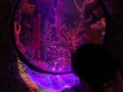 -沈阳海洋探索中心