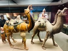 -西安大唐西市博物馆