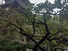 -胡雪岩故居