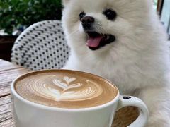 -Peet's 皮爷咖啡(东湖路手作店)