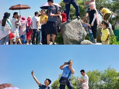 -广东惠东海龟国家级自然保护区
