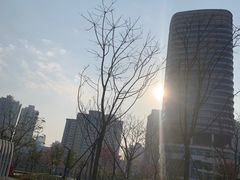 -深圳湾公园(南山区)