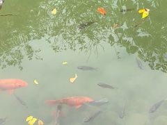 -水底山庄园温泉