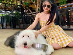 -TrueLove @ Neverland (Husky Cafe)