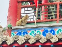 -高庙保安寺