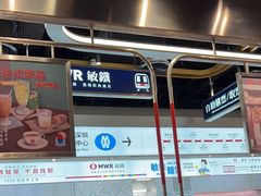 -敏华冰厅(平安金融中心店)