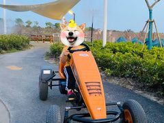 -季高兔窝窝亲子园(上海薰衣草公园店)