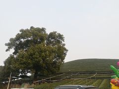 -听风阁农家私房菜茶楼(龙坞店)
