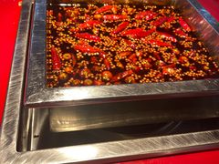 -二荆条·蜀鲜汇城市森林火锅