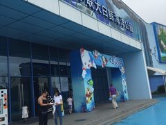 -芜湖新华联大白鲸海洋公园