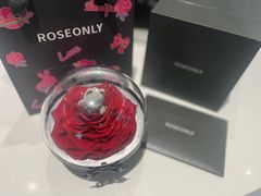 -ROSEONLY诺誓(广州K11店)