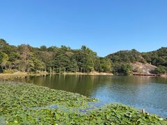 -广州市石门国家森林公园
