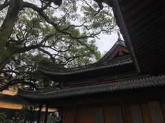 -普陀山慧济禅寺
