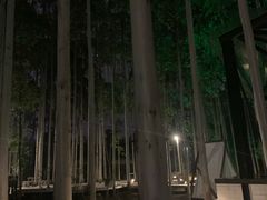 -桉树林A coffee 森林餐厅(三圣乡店)