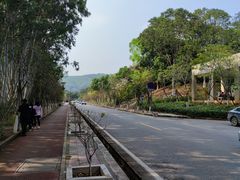 -东莞市大岭山森林公园
