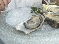 -斯普汇生蚝牛排馆(中骏世界城店)