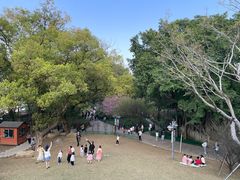 -乌山风景区