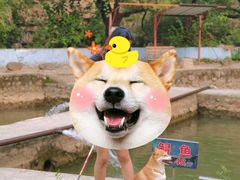 -双新垂钓园