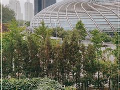 -凤凰中心