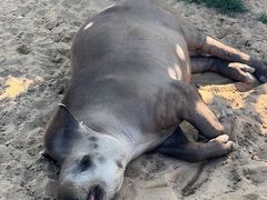 -西霞口神雕山野生动物世界