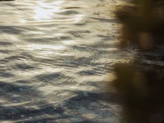 -新加坡文华东方酒店