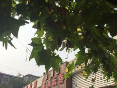 -洪湖里高汤云吞