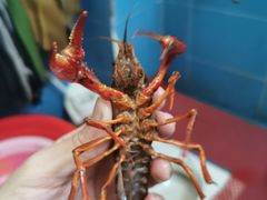 -渔人湾码头海鲜市场负二楼