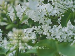 -星巴克(天津五大道店)