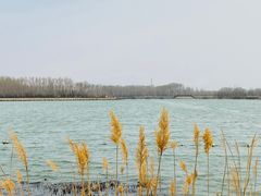 -野鸭湖国家湿地公园