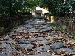 -奥林匹克森林公园南门-停车场