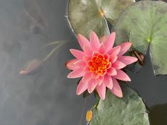 -星巴克(深圳前海企业公馆店)