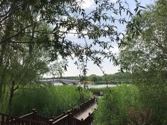 -北京麋鹿生态实验中心