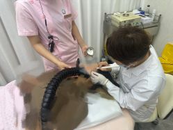 点击看大图 -铂诗玥医美