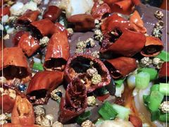 -雲蜀龙阁·金牌水煮鱼(方庄店)